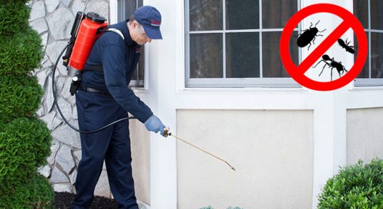 Güce Kemirgen İlaçlama böcek ilaçlama ve haşere kontrolü — ilaclama-tr.com